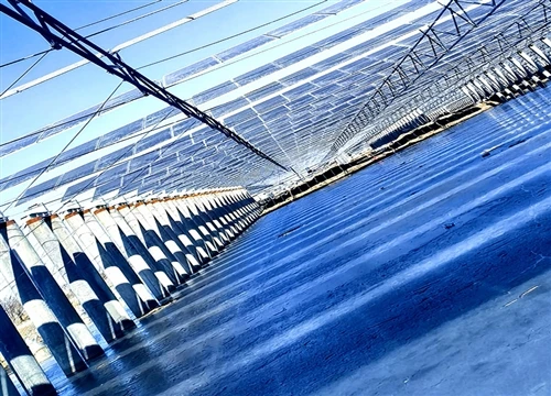 Tianjin Lizigu 171.6MW Fishery-פרויקט PV שמש
